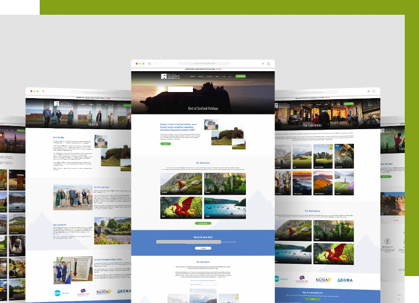 WEB DESIGN & DEVELOPMENT