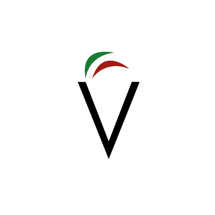 Visochis logo